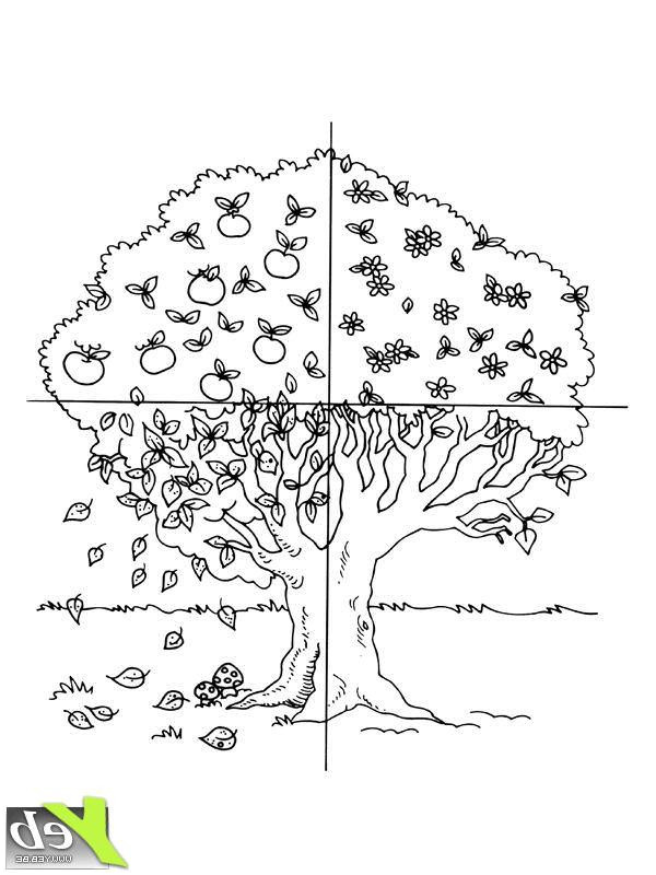 arbre en quatres saisons