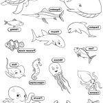 Coloriage Animaux Marins Gratuit Luxe Animal Marin Dessin Coloriage Animaux Marins Animaux Album