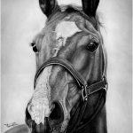 Coloriage Chevaux à Imprimer Gratuit Luxe Chestnut Horse By Yankeestyle94 On Deviantart Horse Drawings Horse Art Drawing