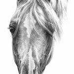 Coloriage Chevaux à Imprimer Gratuit Nouveau 123 Sketches Of A Horse Tattoo Tatufot