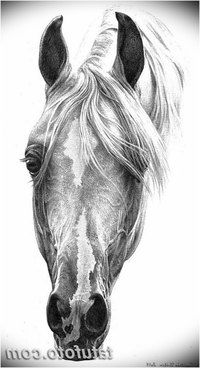 foto eskizy tatu kon ot 29 09 2017 123 sketches of a horse tattoo tatufoto