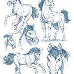Coloriage Chevaux à Imprimer Gratuit Unique Practice Warm Ups Of Horses For Today Happy Wednesday Horses Drawinghorse