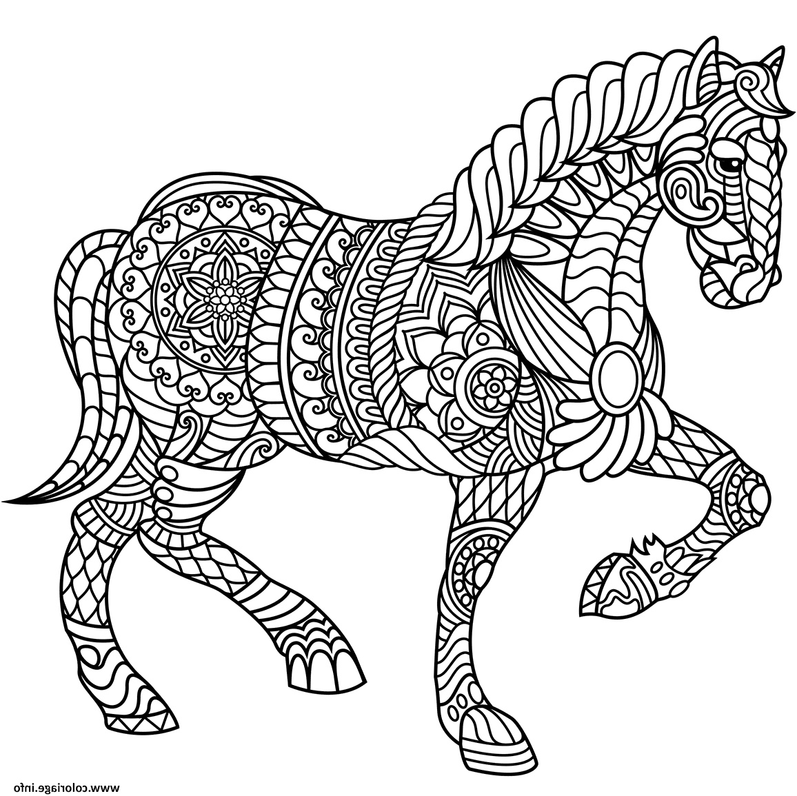 cheval zentangle adulte coloriage