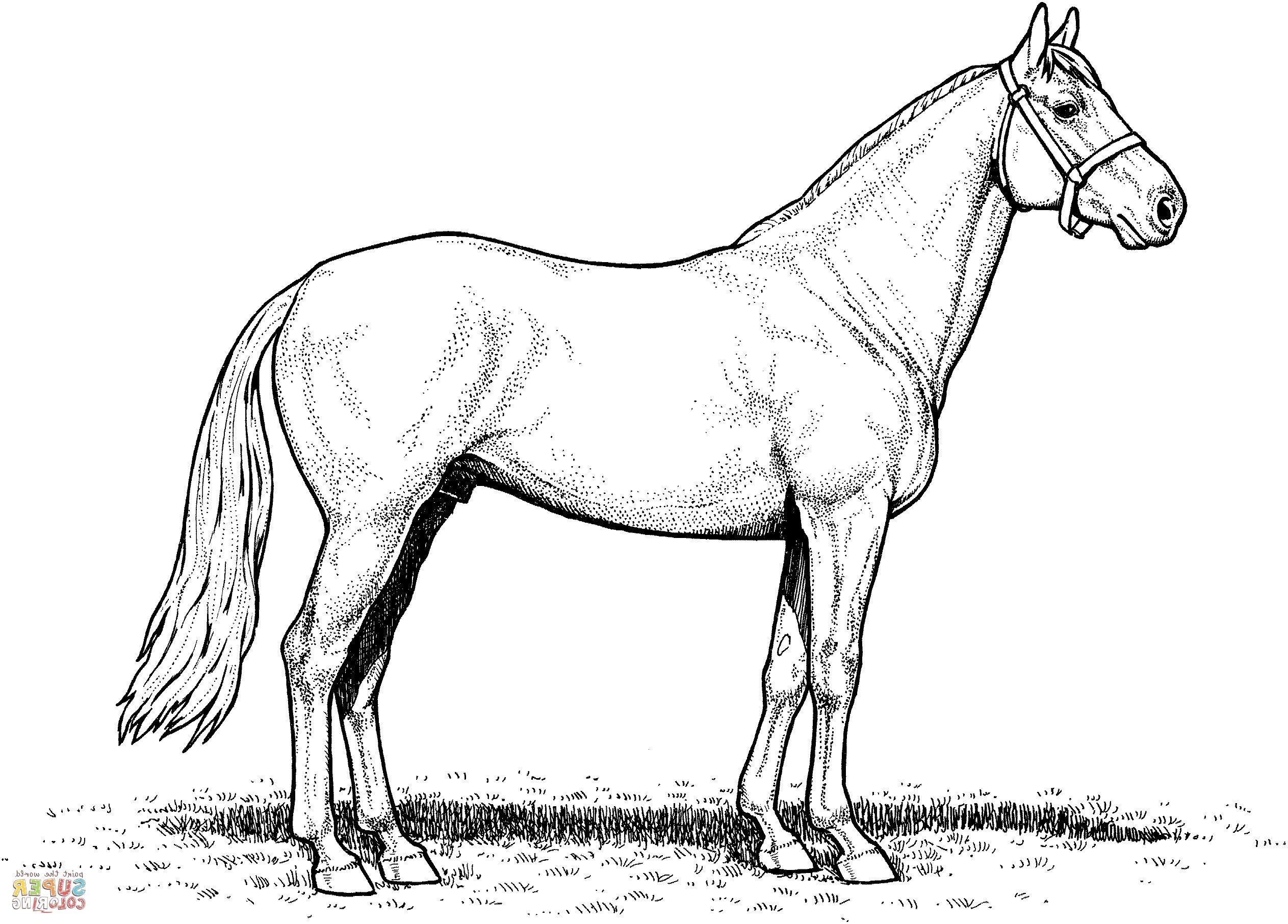 draft horse coloring pages