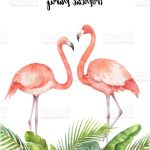 Coloriage De Bébé Flamant Rose Inspiration Watercolor Card Tropical Leaves And The Pink Flamingo Isolated White Backg