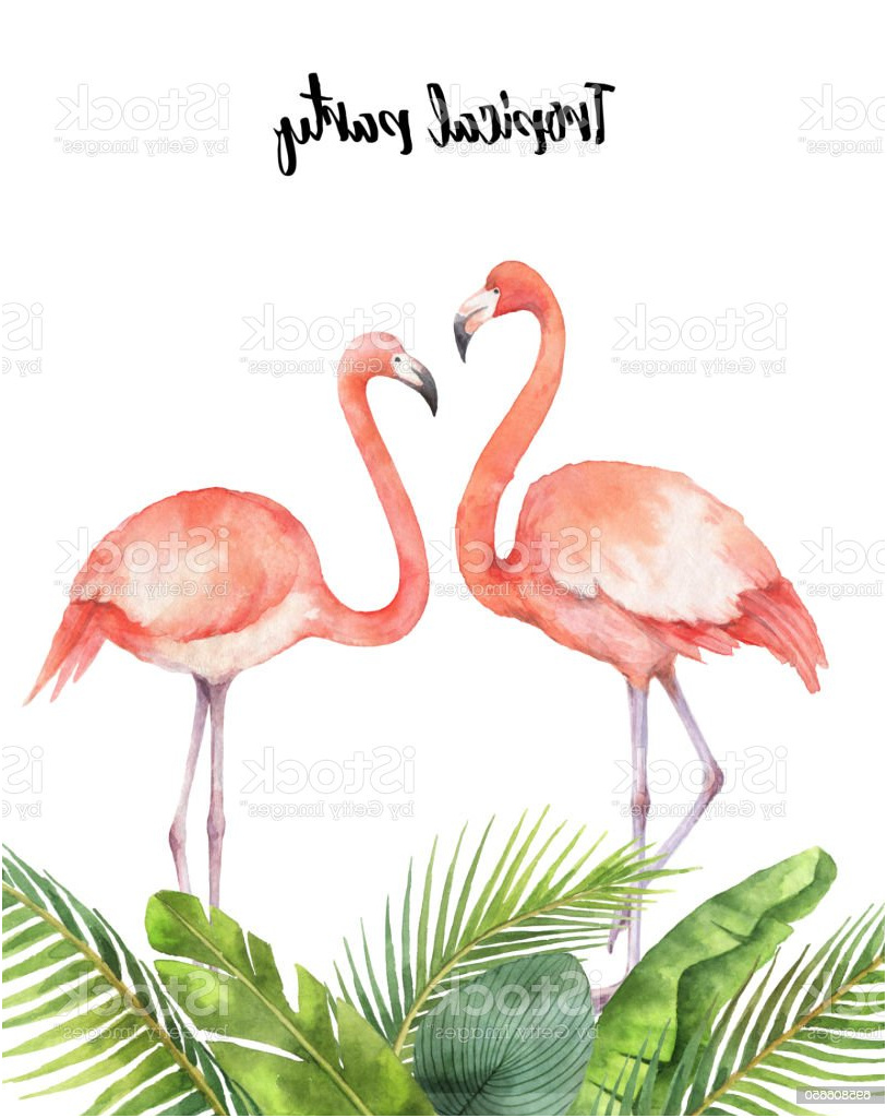 watercolor card of tropical leaves and the pink flamingo isolated on white background gm