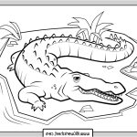 Coloriage De Crocodile Frais Crocodile To Coloring Abc Worksheet