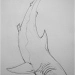 Coloriage De Requin à Imprimer Élégant Great White Shark By Kamodin28 On Deviantart Shark Tattoos Shark Art Shark Dra