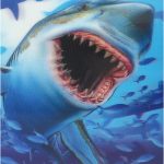 Coloriage De Requin à Imprimer Meilleur De 3d Picture Shark Shark Pictures 3d Pictures Shark Photos