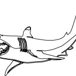 Coloriage De Requin Frais Drawing Shark Animals – Printable Coloring Pages