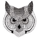 Coloriage Difficile à Imprimer Nouveau Jess Stokes For The Rise And Fall Owl Illustration Owl Owl Art