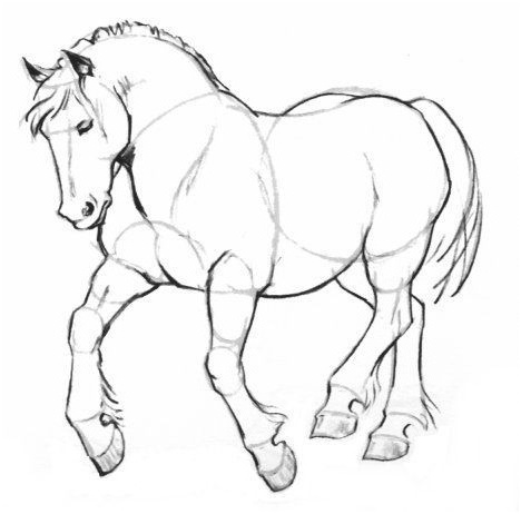 dessins de cheval inspirant galerie dessin cheval de trait