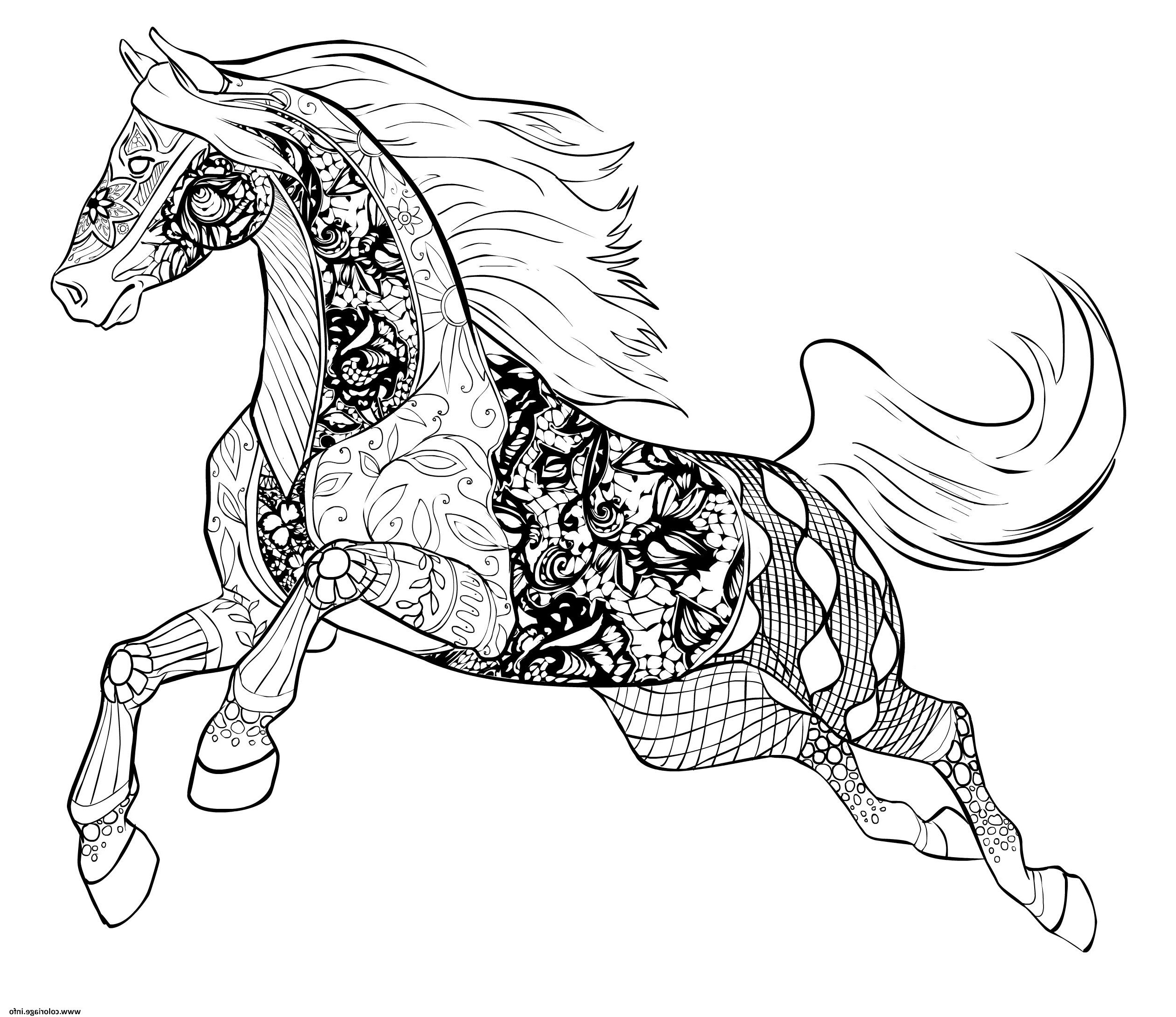 cheval adulte par selah works coloriage