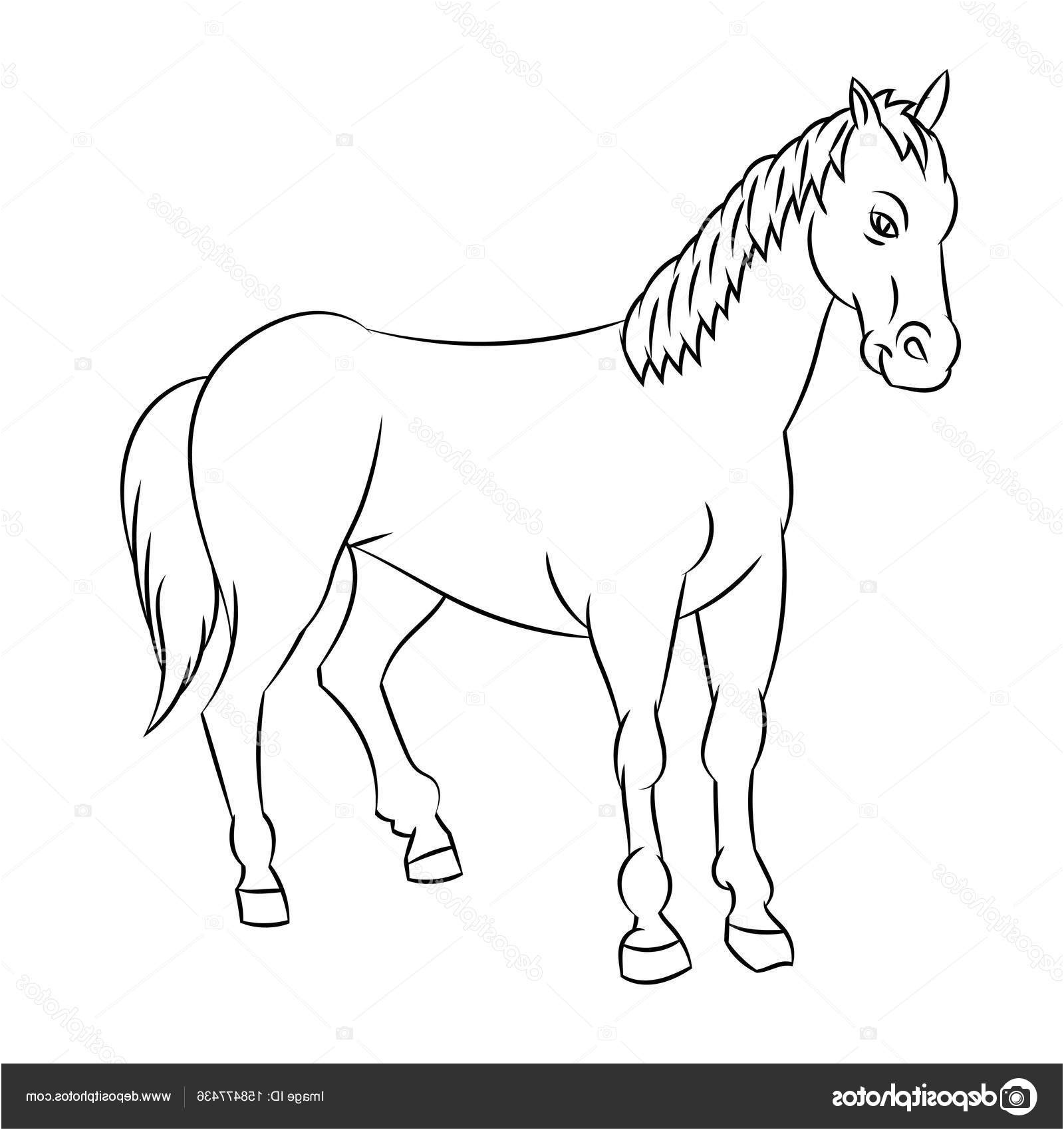 stock illustration line drawing of horse simple