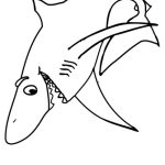 Coloriage De Requin Blanc Génial 🎨coloriage Requin Blanc Très Content à Imprimer