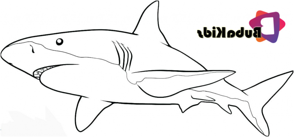 great white sharks are king of the ocean sharks coloring pages