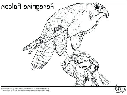 marvel falcon coloring pages